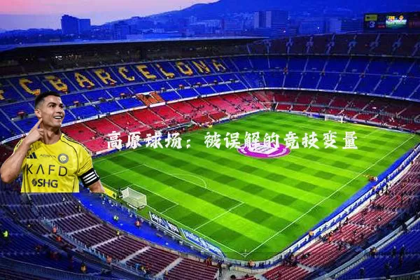 高原球场：被误解的竞技变量